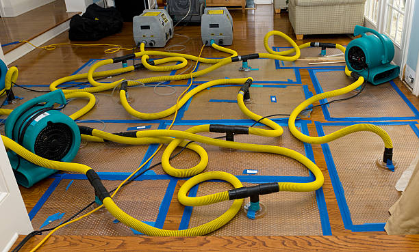 Professional Burst Pipe Water Damage technician working in Edinburgh, IN